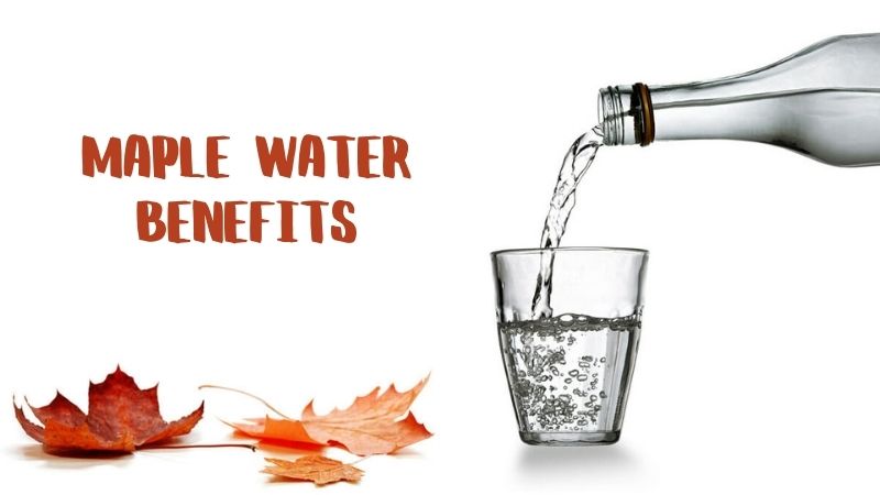 Benefits of Maple Water